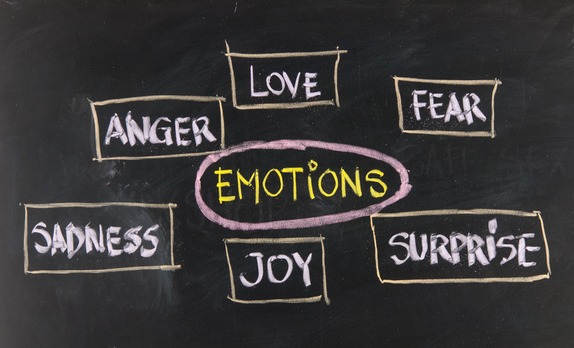 six basic emotions - love, fear, joy, anger, surprise and sadness