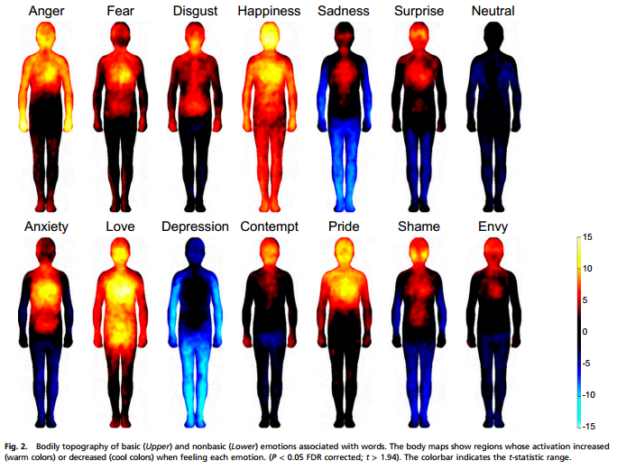 Where you feel your emotions