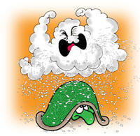 The Hailstorm and the Turtle